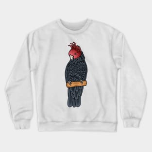 Gang gang cockatoo bird cartoon illustration Crewneck Sweatshirt